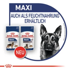 Royal Canin Maxi Ageing 8+ Wet - Hundefutter -Hundebedarf Geschäft royal canin maxi ageing 8 wet hondenvoer 129116 0500 none