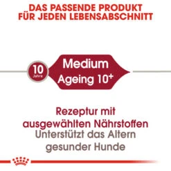 Royal Canin Medium Ageing 10+ - Hundefutter -Hundebedarf Geschäft royal canin medium ageing 10 hondenvoer 128810 0500 none
