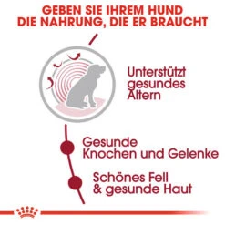 Royal Canin Medium Ageing 10+ - Hundefutter -Hundebedarf Geschäft royal canin medium ageing 10 hondenvoer 128816 0500 none