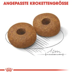 Royal Canin Medium Ageing 10+ - Hundefutter -Hundebedarf Geschäft royal canin medium ageing 10 hondenvoer 128822 0500 none