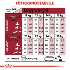 Royal Canin Medium Ageing 10+ - Hundefutter -Hundebedarf Geschäft royal canin medium ageing 10 hondenvoer 128831 0500 none