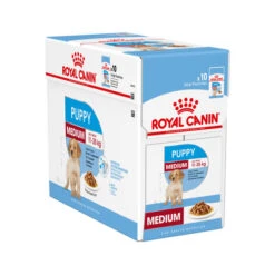 Royal Canin Medium Puppy Wet -Hundebedarf Geschäft royal canin medium puppy wet 121921 0500 none