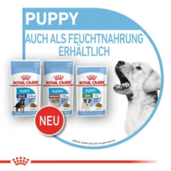 Royal Canin Medium Puppy Wet -Hundebedarf Geschäft royal canin medium puppy wet 129293 0500 none