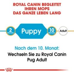 Royal Canin Pug Puppy - Hundefutter -Hundebedarf Geschäft royal canin pug puppy hondenvoer 139858 0500 none