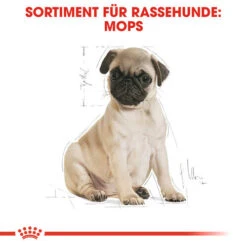 Royal Canin Pug Puppy - Hundefutter -Hundebedarf Geschäft royal canin pug puppy hondenvoer 139885 0500 none