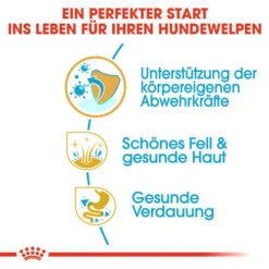 Royal Canin Shih Tzu Puppy - Hundefutter -Hundebedarf Geschäft royal canin shih tzu junior hondenvoer 140402 0500 none