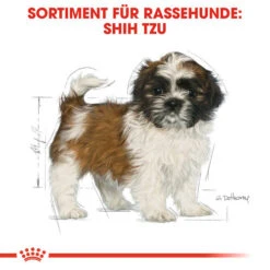 Royal Canin Shih Tzu Puppy - Hundefutter -Hundebedarf Geschäft royal canin shih tzu junior hondenvoer 140411 0500 none