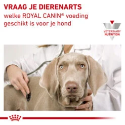 Royal Canin Urinary S/O Hund -Hundebedarf Geschäft royal canin urinary so hond 153688 0500 none