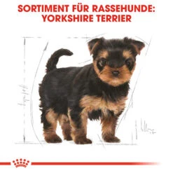 Royal Canin Yorkshire Terrier Puppy - Hundefutter -Hundebedarf Geschäft royal canin yorkshire terrier puppy hondenvoer 140804 0500 none