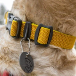 Ruffwear Hi & Light Halsband -Hundebedarf Geschäft ruffwear hi light collar 194258 0500 none