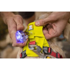 Ruffwear Hi & Light Harness -Hundebedarf Geschäft ruffwear hi light harness 196031 0500 none
