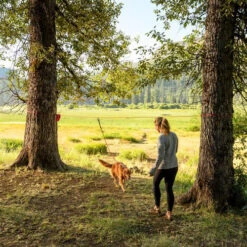 Ruffwear Knot-a-Hitch -Hundebedarf Geschäft ruffwear knot a hitch 124643 0500 none