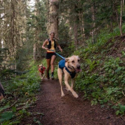 Ruffwear Roamer Leash - Blue Atoll -Hundebedarf Geschäft ruffwear roamer leash blue atoll 204797 0500 none