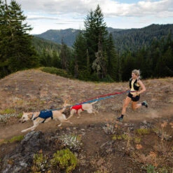 Ruffwear Roamer Leash - Blue Atoll -Hundebedarf Geschäft ruffwear roamer leash blue atoll 204800 0500 none