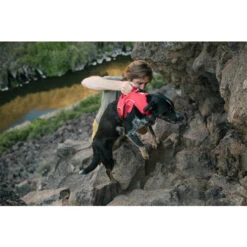 Ruffwear Webmaster Harness -Hundebedarf Geschäft ruffwear webmaster harness 204671 0500 none