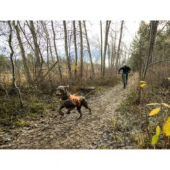 Ruffwear Webmaster Harness -Hundebedarf Geschäft ruffwear webmaster harness 217113 0500 none