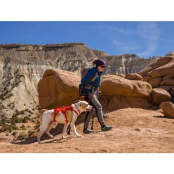 Ruffwear Webmaster Harness -Hundebedarf Geschäft ruffwear webmaster harness 217118 0500 none