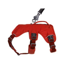 Ruffwear Webmaster Harness -Hundebedarf Geschäft ruffwear webmaster harness 217119 0500 none
