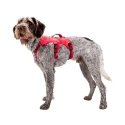 Ruffwear Webmaster Harness -Hundebedarf Geschäft ruffwear webmaster harness 88447 0500 none