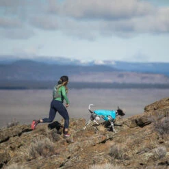 Ruffwear Wind Sprinter Jacket -Hundebedarf Geschäft ruffwear wind sprinter jacket 124694 0500 none