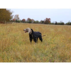 RukkaPets Protect Overall -Hundebedarf Geschäft rukkapets protect overall zwart 216401 0500 none