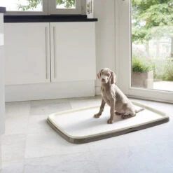 Savic Puppy Trainer + Pads -Hundebedarf Geschäft savic puppy trainer pads 163498 0500 none