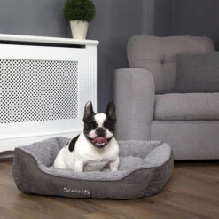 Scruffs Cosy Box Bett -Hundebedarf Geschäft scruffs cosy box bed 209468 0500 none