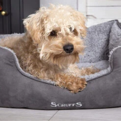 Scruffs Cosy Box Bett -Hundebedarf Geschäft scruffs cosy box bed 209483 0500 none