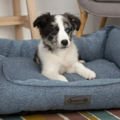 Scruffs Manhattan Box Bett -Hundebedarf Geschäft scruffs manhattan box bed 209507 0500 none