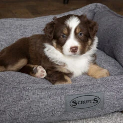 Scruffs Manhattan Box Bett -Hundebedarf Geschäft scruffs manhattan box bed 209513 0500 none