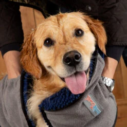 Scruffs Noodle Dry Mat -Hundebedarf Geschäft scruffs noodle dry mat 220544 0500 none