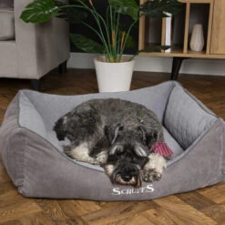 Scruffs Thermal Box Bed -Hundebedarf Geschäft scruffs thermal box bed 190825 0500 none