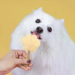 Smoofl Hundeeis Starter Kit -Hundebedarf Geschäft smoofl dog ice starter kit 195155 0500 none