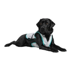Suitical DRY Cooling Vest 10 Suitical DRY Cooling Vest -Hundebedarf Geschäft suitical dry cooling vest 149879 0500 none