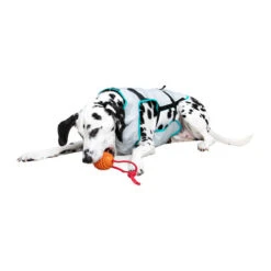 Suitical DRY Cooling Vest 12 Suitical DRY Cooling Vest -Hundebedarf Geschäft suitical dry cooling vest 149882 0500 none