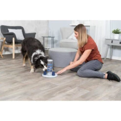 Trixie Dog Activity Gambling Tower 14 Trixie Dog Activity Gambling Tower -Hundebedarf Geschäft trixie dog activity gambling tower 179852 0500 none