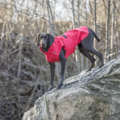 Trixie Regenjacke Vimy -Hundebedarf Geschäft trixie regenjas vimy 204854 0500 none