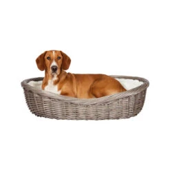 Trixie Weidekorb -Hundebedarf Geschäft trixie rieten hondenmand grijs 193544 0500 none