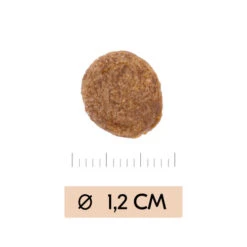 Vetality Gastrointestinal - Hundefutter -Hundebedarf Geschäft vetality gastrointestinal hondenvoer 195449 0500 none