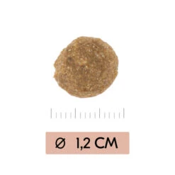 Vetality Gastrointestinal Low Fat - Hundefutter -Hundebedarf Geschäft vetality gastrointestinal low fat hondenvoer 195467 0500 none