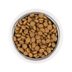 Vetality Puppy Maxi - Hundefutter -Hundebedarf Geschäft vetality puppy maxi hondenvoer 213665 0500 none