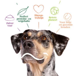 Yarrah - Bio Trockenfutter Vega Getreidefrei -Hundebedarf Geschäft yarrah bio droogvoer hond vega graanvrij 201212 0500 none