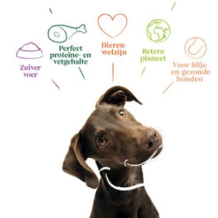 Yarrah - Getreidefreies Trockenfutter Bio -Hundebedarf Geschäft yarrah droogvoer hond graanvrij bio 201170 0500 none