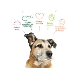 Yarrah - Trockenfutter Senior Mit Huhn, Fisch Und Kräutern Bio -Hundebedarf Geschäft yarrah droogvoer hond senior bio 201146 0500 none