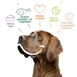 Yarrah - Trockenfutter Sensitiv Mit Huhn Und Reis Bio -Hundebedarf Geschäft yarrah droogvoer hond sensitive bio 199148 0500 none