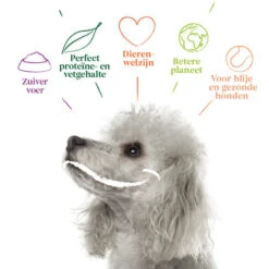 Yarrah - Vegetarische Bröckchen Mit Cranberry Bio -Hundebedarf Geschäft yarrah natvoer blik vega chunks met cranberries bio 200909 0500 none