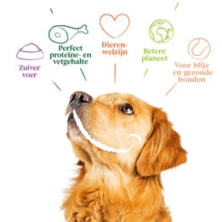 Yarrah - Hundefutter Paté Huhn Mit Spirulina Und Meeresalgen In Soße Bio -Hundebedarf Geschäft yarrah natvoer hond blik pat met kip bio 201002 0500 none