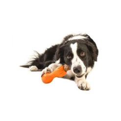 Zogoflex Qwizl -Hundebedarf Geschäft zogoflex qwizl 136849 0500 none