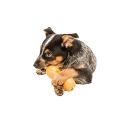 Zogoflex Qwizl -Hundebedarf Geschäft zogoflex qwizl 136852 0500 none