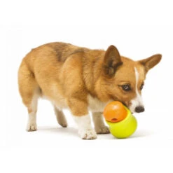 Zogoflex Toppl - Treat Toy -Hundebedarf Geschäft zogoflex toppl treat toy 219464 0500 none